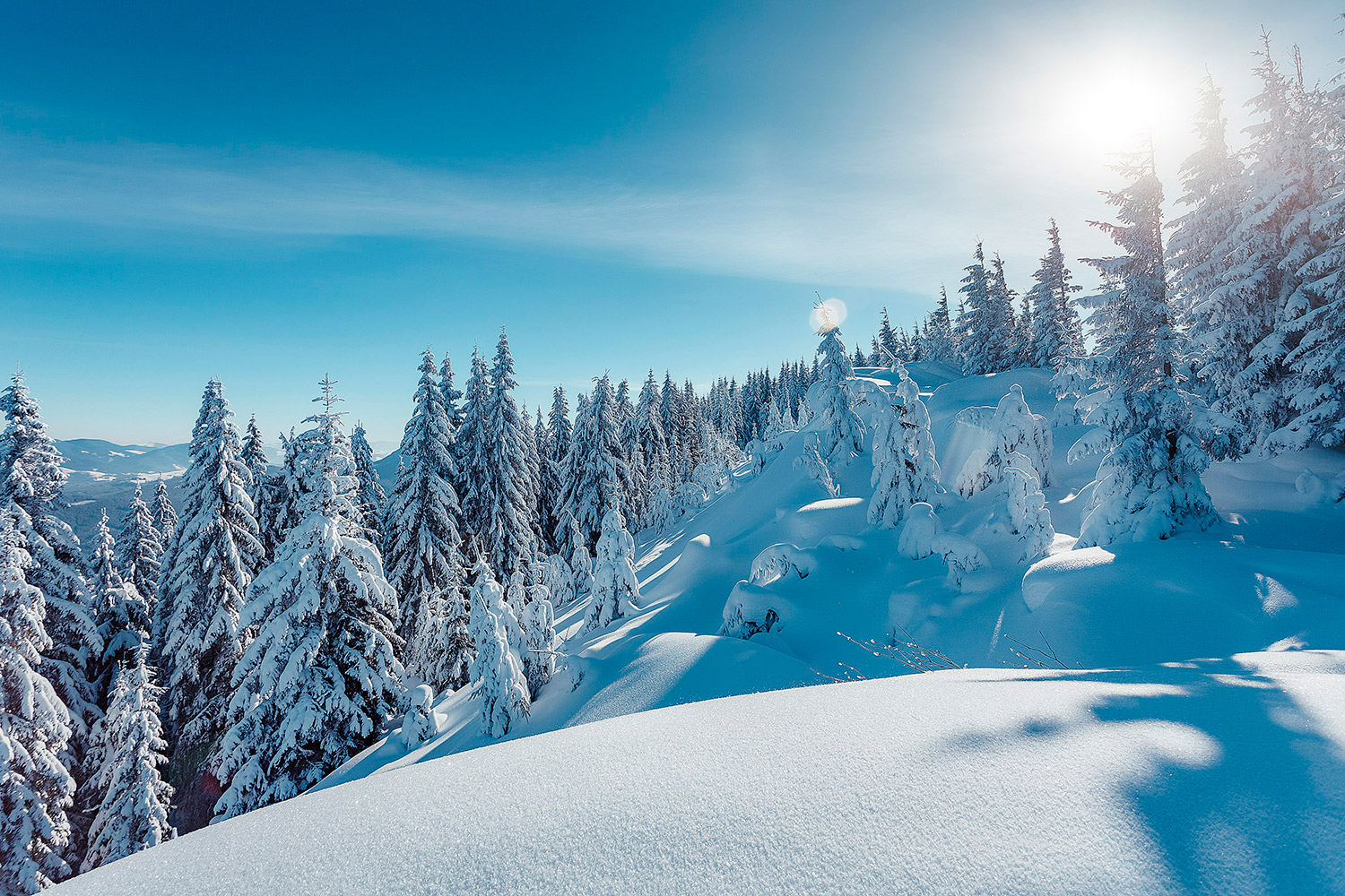 Schweizer Skiverleihe